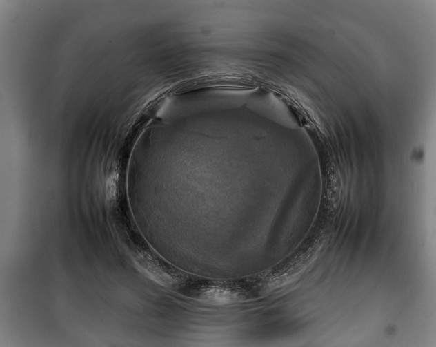 X0000100190596200806061300