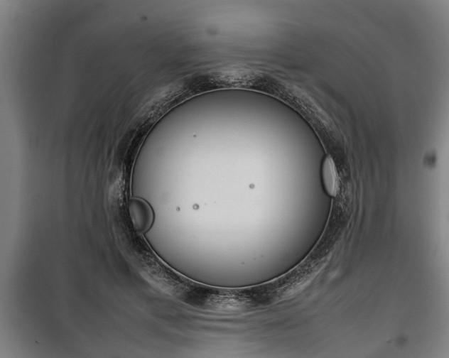 X0000100190597200806061300