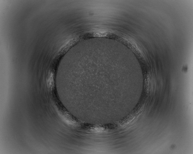 X0000100190598200806061300