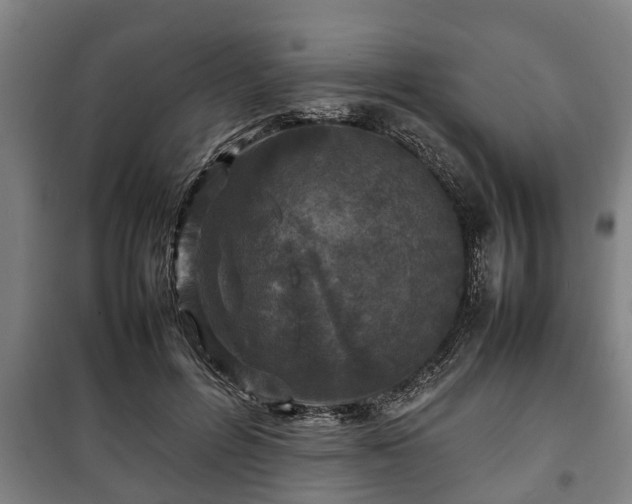 X0000100190600200806061300