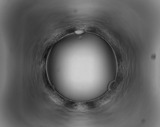 X0000100190601200806061300