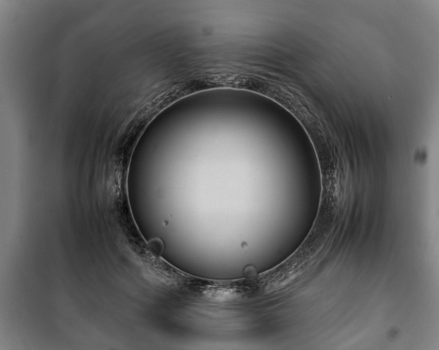 X0000100190602200806061300