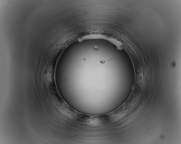 X0000100190604200806061300