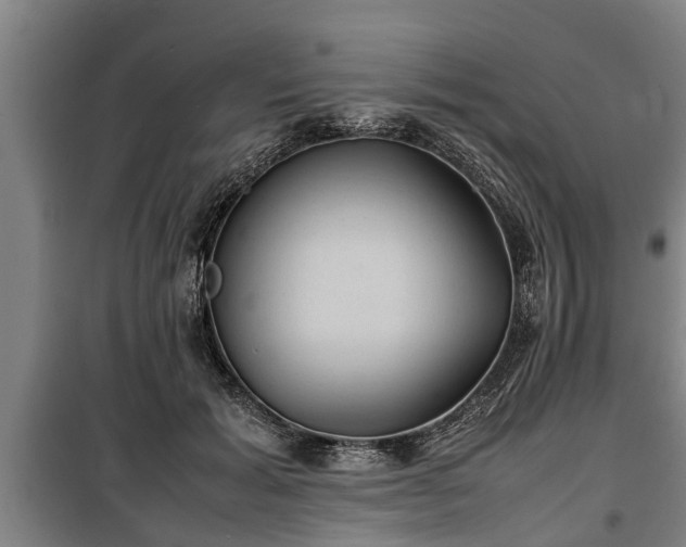 X0000100190605200806061300