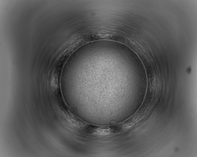 X0000100190606200806061300