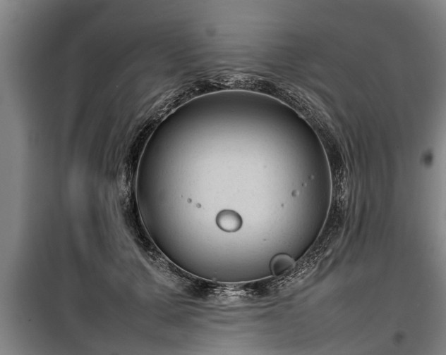 X0000100190607200806061300