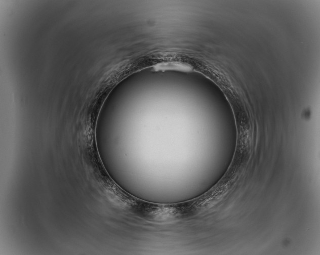 X0000100190609200806061300