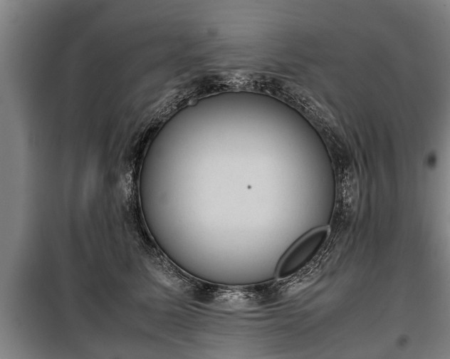 X0000100190611200806061300