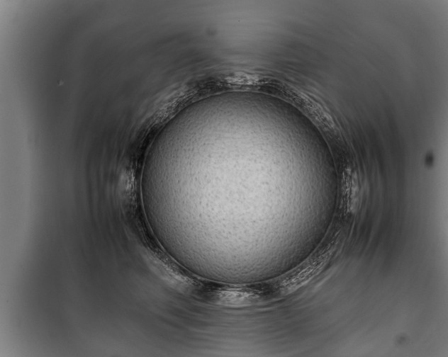 X0000100190614200806061300