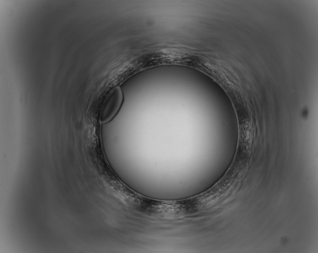 X0000100190615200806061300