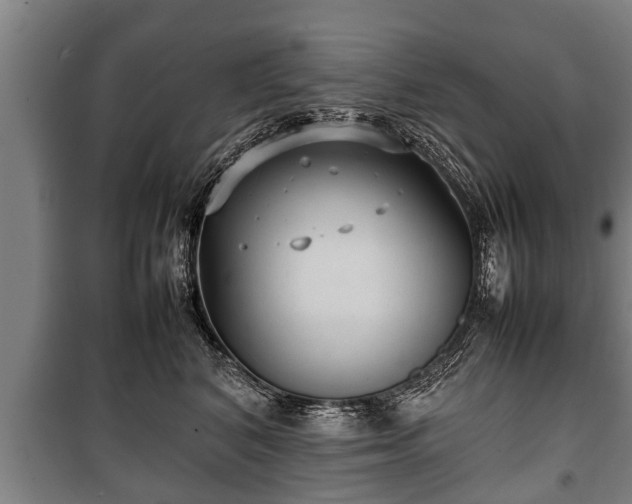 X0000100190616200806061300