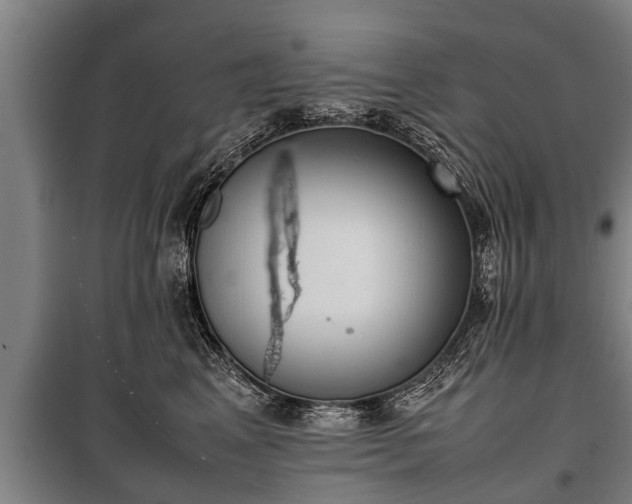 X0000100190617200806061300