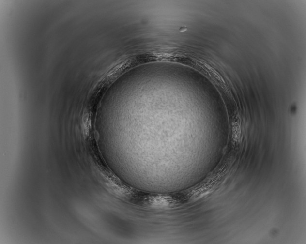 X0000100190618200806061300