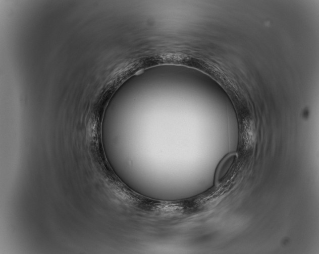 X0000100190619200806061300