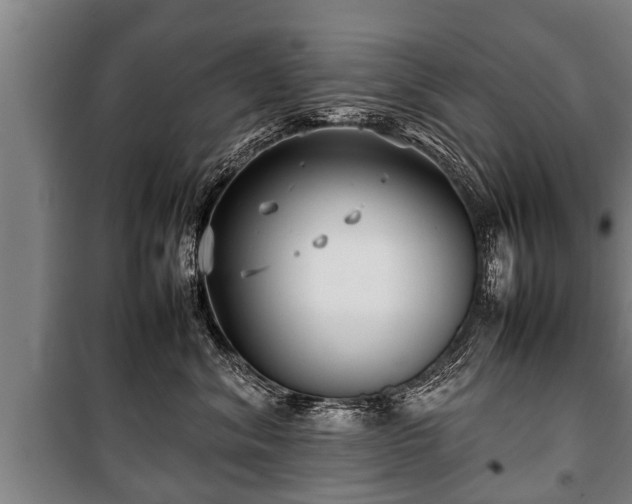 X0000100190620200806061300