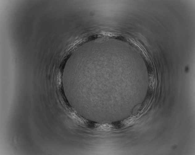 X0000100190621200806061300