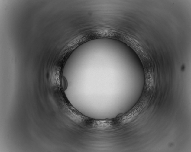 X0000100190622200806061300