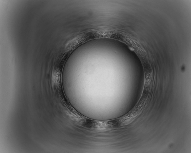 X0000100190623200806061300