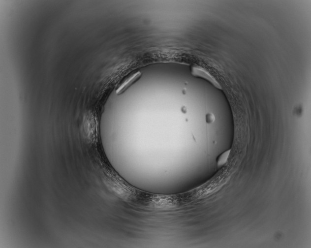 X0000100190624200806061300