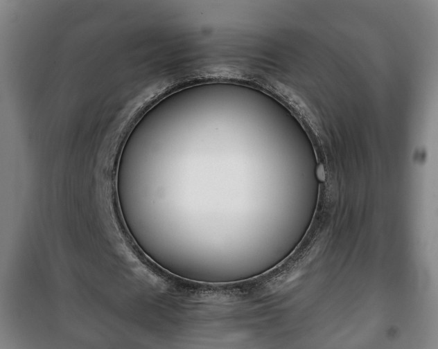 X0000100190625200806061259