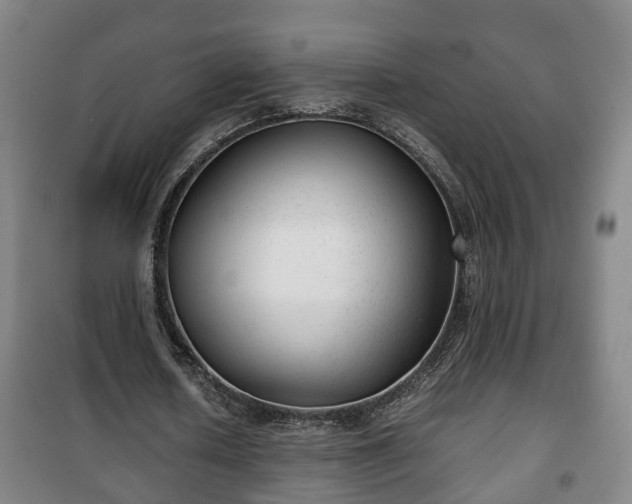 X0000100190626200806061259