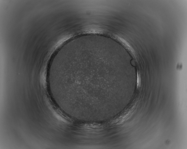 X0000100190627200806061259