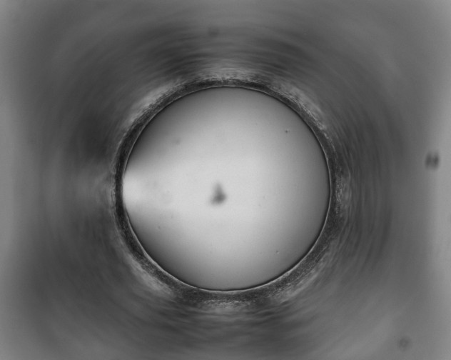 X0000100190629200806061259