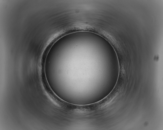 X0000100190630200806061259