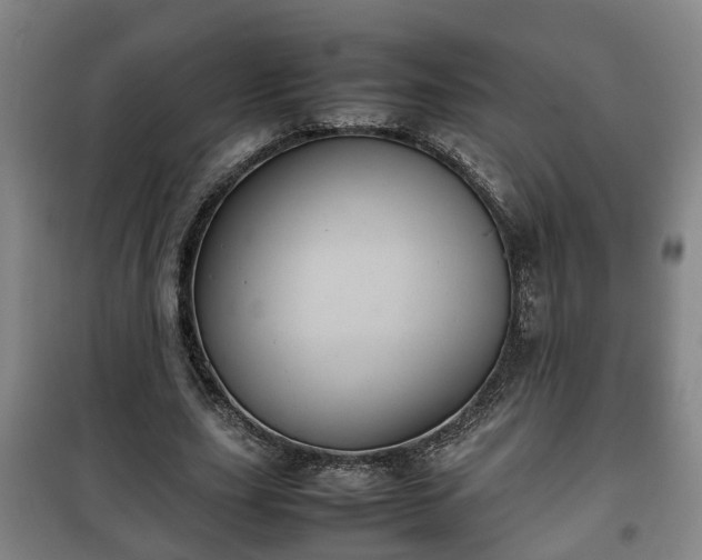 X0000100190631200806061259