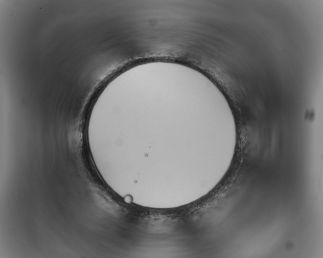 X0000100190632200806061259