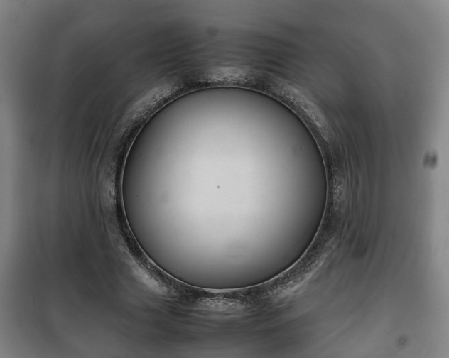 X0000100190633200806061259