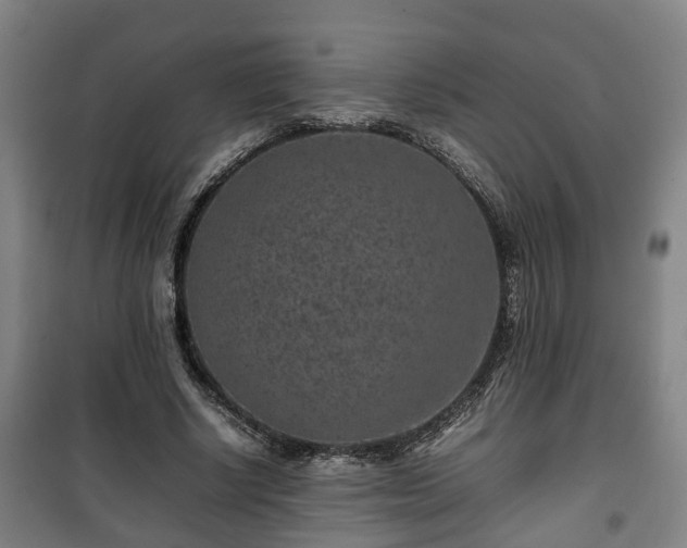 X0000100190634200806061259