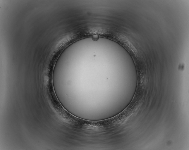 X0000100190635200806061259