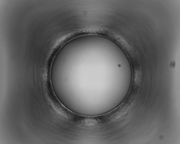 X0000100190636200806061259