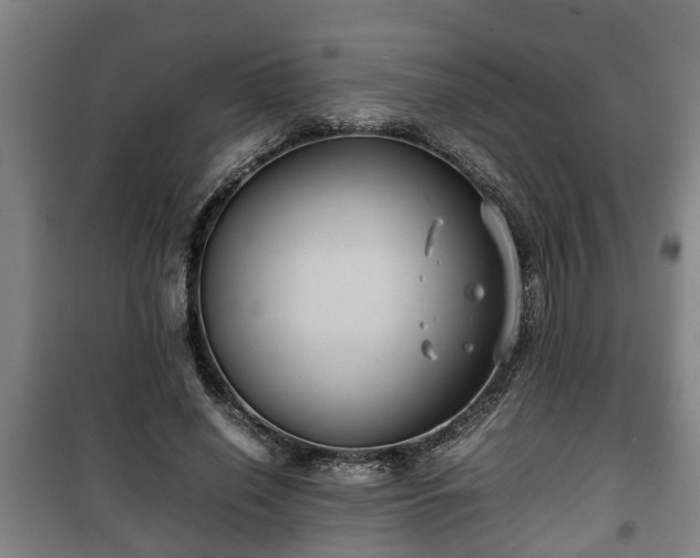 X0000100190638200806061259