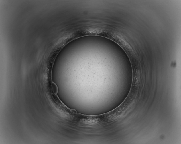 X0000100190639200806061259