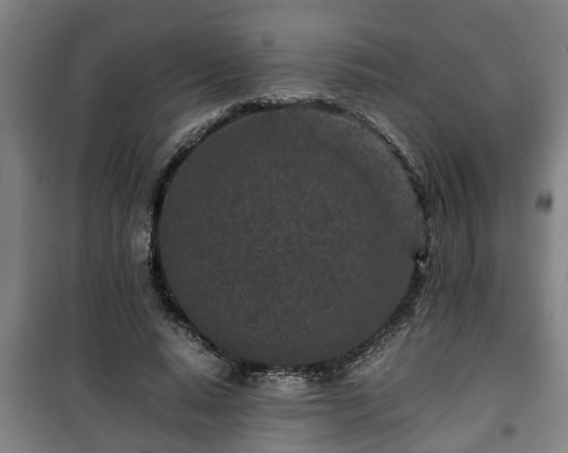 X0000100190640200806061259