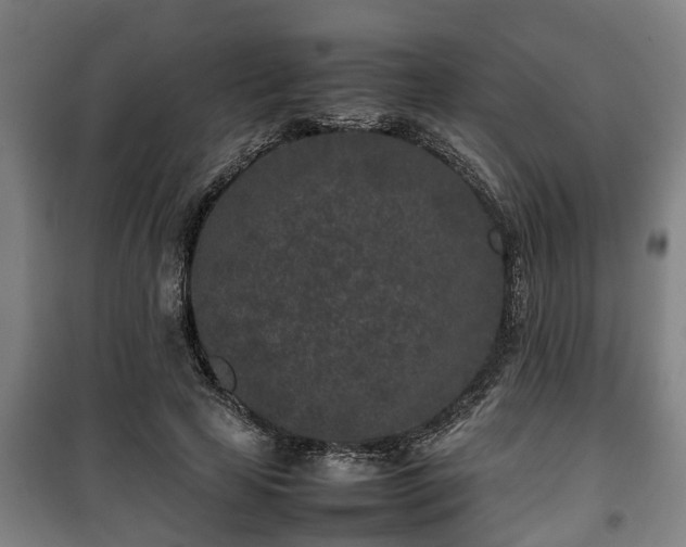 X0000100190641200806061259