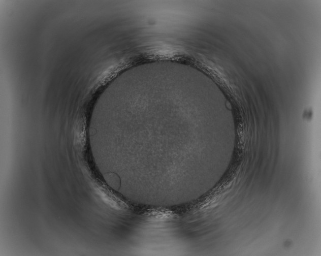 X0000100190642200806061259