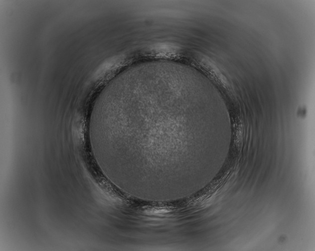 X0000100190643200806061259