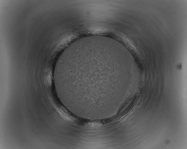 X0000100190644200806061259