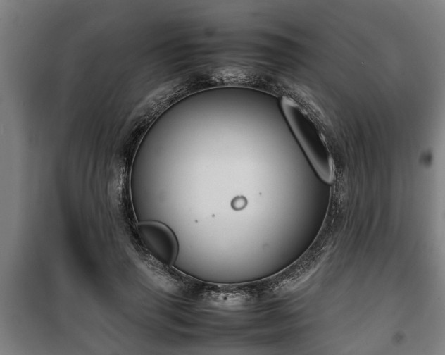 X0000100190645200806061259