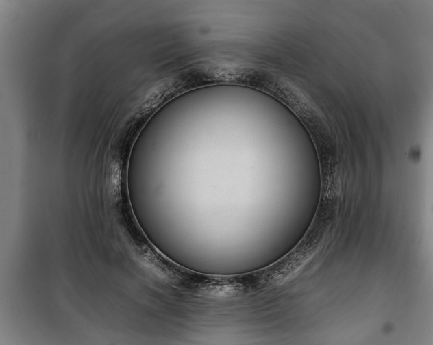 X0000100190646200806061259