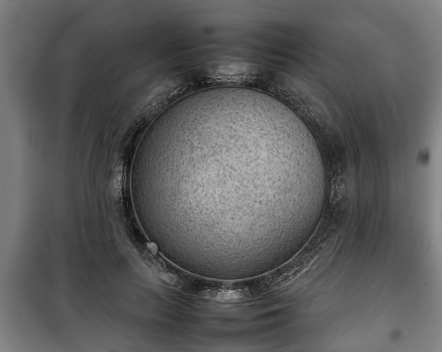 X0000100190647200806061259