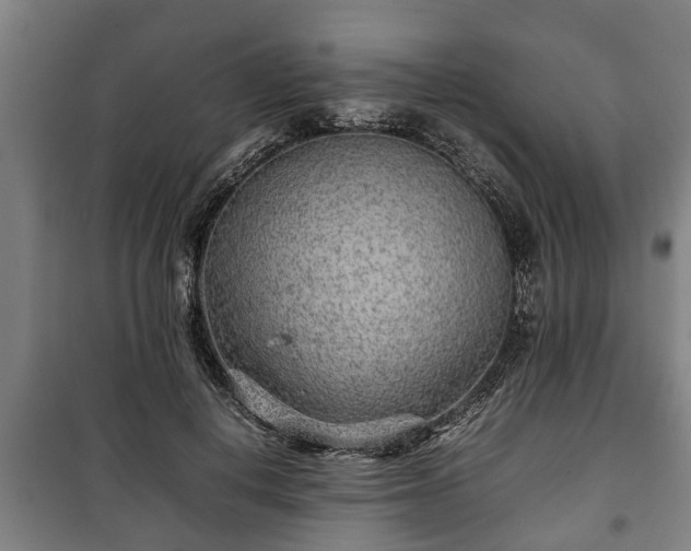 X0000100190648200806061259