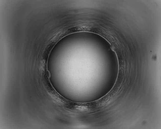 X0000100190649200806061259