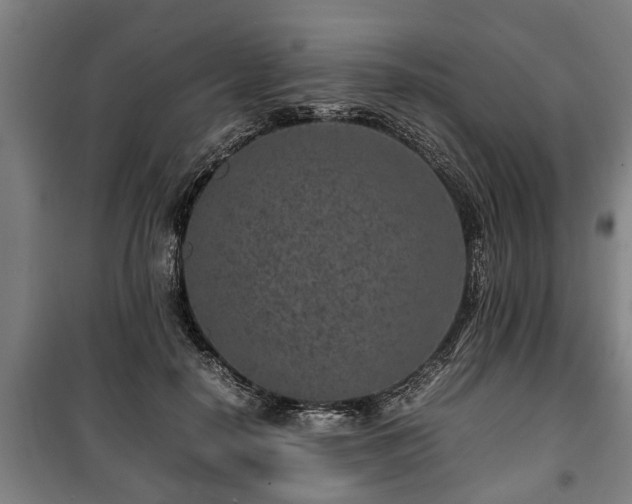 X0000100190650200806061259