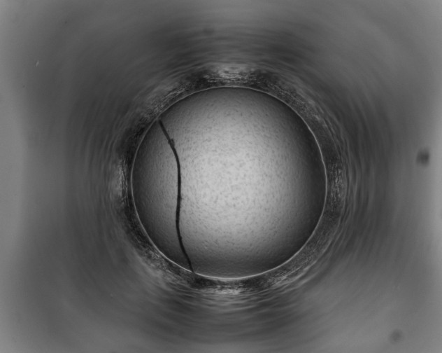 X0000100190651200806061259