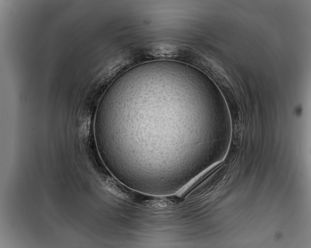 X0000100190652200806061259