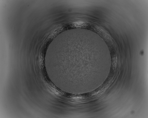 X0000100190653200806061259